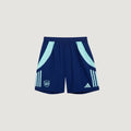 Arsenal FC - Entraînement 24/25 - Bleu